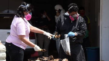 ¿Qué es el Caracas Rueda de Venezuela?