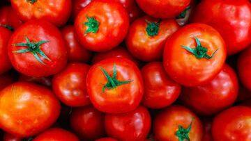 Profeco revela el mejor alimento de la cocina mexicana para 2025