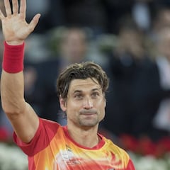 Ferrer, Berdych, Baghdatis... las retiradas en el tenis en 2019