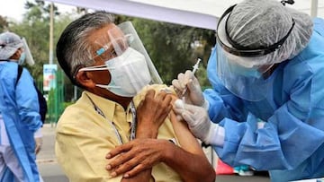 Vacuna coronavirus: cuántas dosis se han aplicado y cuántos adultos estarán vacunados en verano