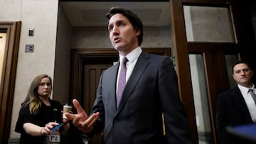 Prime Minister Justin Trudeau confirms that a joint US-Canadian operation had taken out an object hovering over North American airspace.