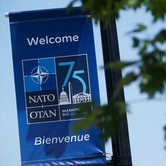 What are the differences between NATO, the UN and the EU?