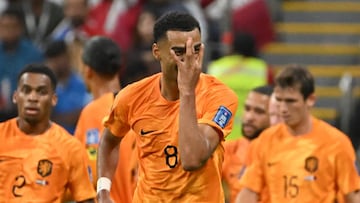 Netherlands' forward #08 Cody Gakpo celebrates scoring the opening goal with his teammates during the Qatar 2022 World Cup Group A football match between the Netherlands and Qatar at the Al-Bayt Stadium in Al Khor, north of Doha on November 29, 2022. (Photo by Alberto PIZZOLI / AFP) (Photo by ALBERTO PIZZOLI/AFP via Getty Images)