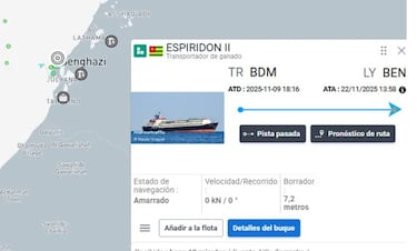 Atraca en Libia un barco con 2.900 vacas y deciden su fatídico destino