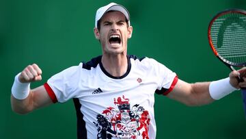 Murray gana a Johnson y buscará la final ante Nishikori