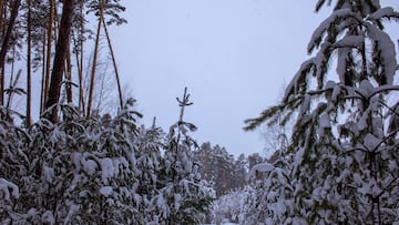 Melting ice in Siberia has revealed a remarkably well-preserved boot from the Saka culture, protected beneath the ice for centuries.