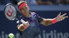 Del Potro (6-4, 7-6, 7-6) Laaksonen: resumen y resultado