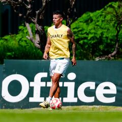 Gauthier: “James es un crack mundial”