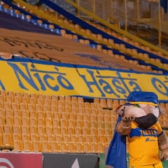 Un Tigre no deja solo a otro Tigre: La increíble historia de Severo Guerrero