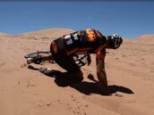 ¡Ciclista chileno protagoniza esta divertida caída en Atacama!