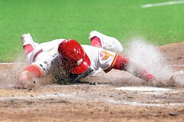 Las mejores imágenes del Diablos Rojos vs Tigres