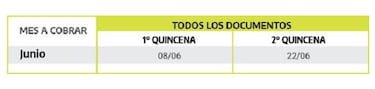 Cuándo cobro ANSES: cronograma de pagos de junio de AUH, AUE, desempleo...
