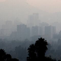 Restricción Vehicular 2022: calendario de autos que no pueden circular, 28 de julio