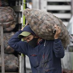 Juntos por el Campo: en qué consiste el programa y a quiénes beneficia