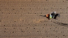 Kentucky Derby 2025: The high stakes price tag of owning a champion racehorse