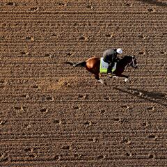 Kentucky Derby 2025: The high stakes price tag of owning a champion racehorse