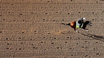 Ahead of this weekend’s 2025 Kentucky Derby at Churchill Downs, Louisville, we take a look at the price of owning and entering a horse in the race.