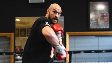 Mientras grandes sectores del boxeo profesional están en contra de Jake y Logan Paul, el 'Gipsy King' asegura que los hermanos renuevan la escena pugilística.