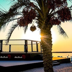 ¿Cómo es la UFC Fight Island?