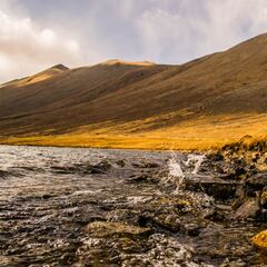 Una ciudad llega a una temperatura superior a lo que un humano resiste