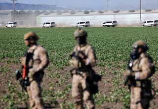 Inmigrante muere durante operativo del ICE en California tras caer nueve metros de altura