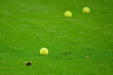 Pelotas de tenis y monedas de chocolate en el césped del Signal Iduna Park.