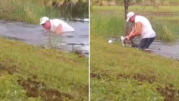 Un cocodrilo se lleva a su perro y el dueño no duda en tirarse a rescatarlo