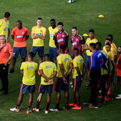Más detalles de la nueva camiseta de la Selección