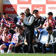 El dibujo actual del Granada: 24 jugadores y cero movimientos