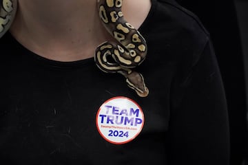 Una calcomanía con la leyenda "Team Trump" aparece en la camiseta de una persona que lleva una serpiente alrededor del cuello, durante una fiesta de observación electoral en el Comité Republicano del Condado de Maricopa el día de las elecciones presidenciales estadounidenses de 2024 en Chandler, Arizona, EE. UU.