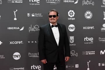 Jorge Perugorría posa a su llegada a la 10ª edición de los Premios Platino del cine Iberoamericano.