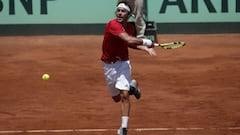 Lama: "Cometí errores que en Copa Davis no se perdonan"