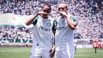 Palmeiras, una factoría sin límites