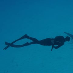 Michael Phelps y el último desafío: ser 'el tiburón' más rápido