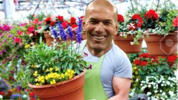 Los mejores memes de la dimisión de Zidane