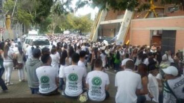 Comienzan en Medellín los preparativos de homenaje a Chapecoense