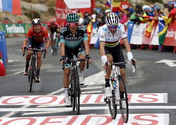 Majka del Bora-Hansgrohe junto a Alejandro Valverde.