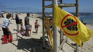 Curva y mapa de casos, contagios y muertes por región en Chile, hoy, 28 de enero