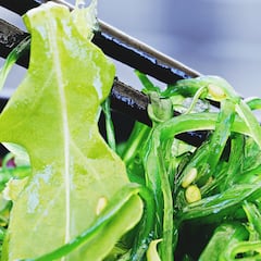 La planta que es un superalimento y respeta al planeta
