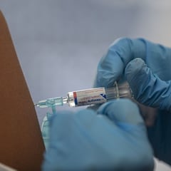 Luis Enjuanes, sobre la vacuna española: "Neutraliza el virus en la puerta de entrada"