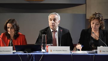 Alejandro Blanco interviene durante la asamblea general del Comité Olímpico Español.