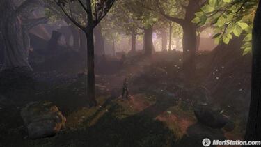 Fable 2, Impresiones GDC