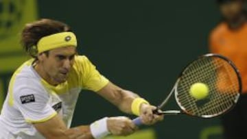 David Ferrer