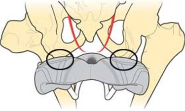 ¿Cómo elegir el asiento adecuado para mi bicicleta?