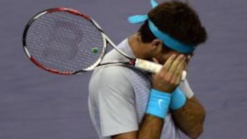 Del potro cae ante Djokovic.