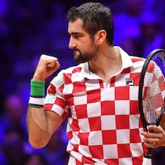 Resumen y resultado del Francia - Croacia: Cilic bate a Pouille y la Davis viajará a Croacia