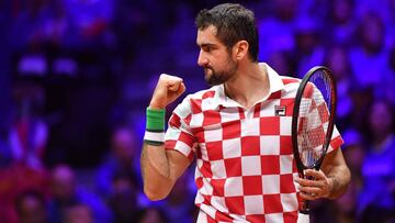 Resumen y resultado del Francia - Croacia: Cilic bate a Pouille y la Davis viajará a Croacia