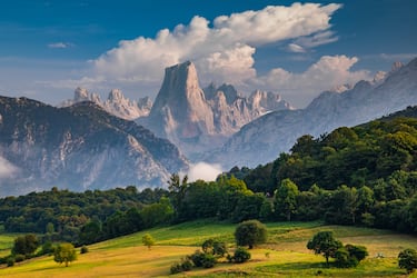 7 parques naturales impactantes para visitar esta primavera