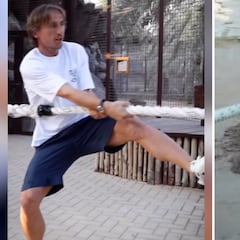El vídeo de Modric con un tigre que está generando todo tipo de comentarios
