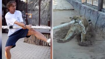 El vídeo de Modric con un tigre que está generando todo tipo de comentarios